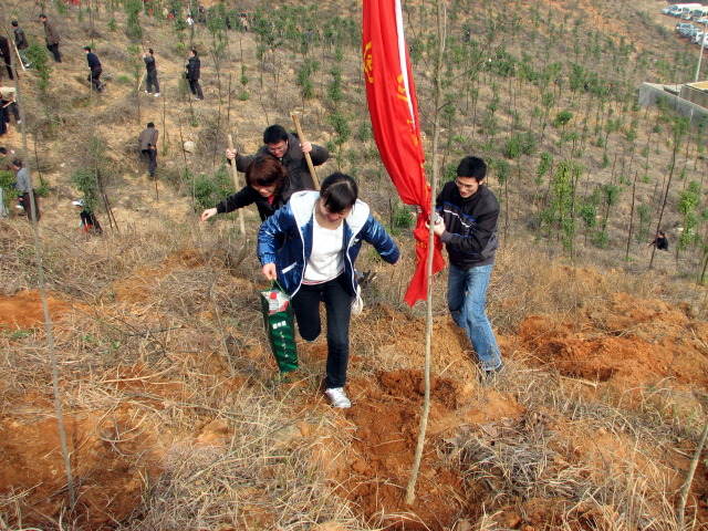 2010年3月12日植树节测地所上山植树